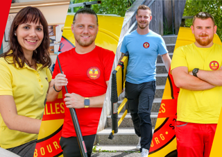 Comment différencier un nid de frelons asiatiques, de guêpes ou d’abeilles ? Haguenau 3