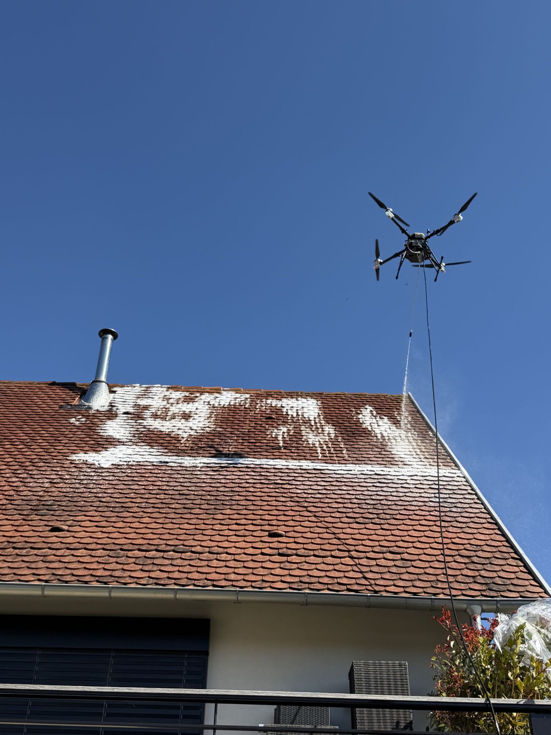 &Agrave; propos de DARD DES VILLES Lingolsheim 3